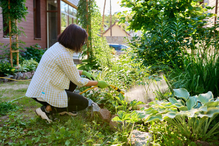 Woman watering flowerbeds with a hose in garden