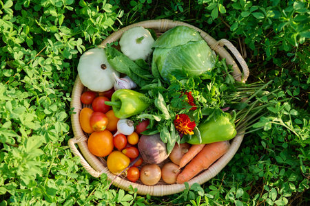 Top view of basket with many different vegetables herbs