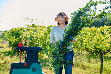 Woman using electric garden shredder for branches and bushesの写真素材