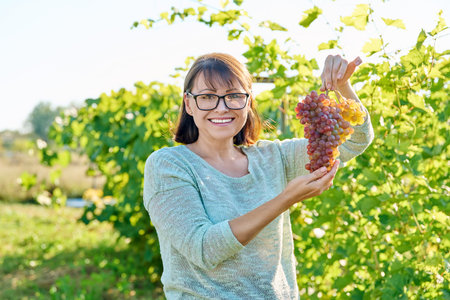 Smiling woman holding bunch of pink grapes, vineyard background