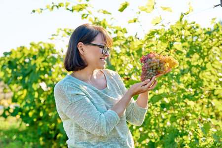 Smiling woman holding bunch of pink grapes, vineyard background