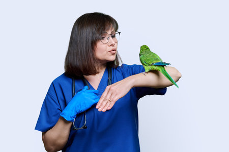 Doctor veterinarian examining green Quaker parrot, on white backgroundの写真素材