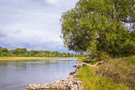 Landscape on the River Elbe near Dessau Germany. The River Elbe is one of the major rivers of...