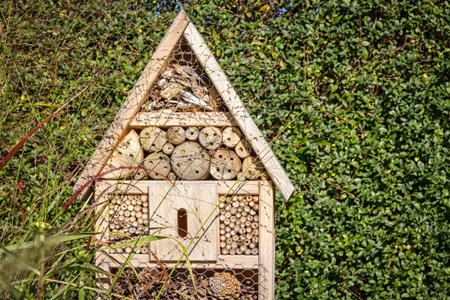 View to an insect house in the garden, protection for insects, named insect hotel, Insektenhotel.の写真素材