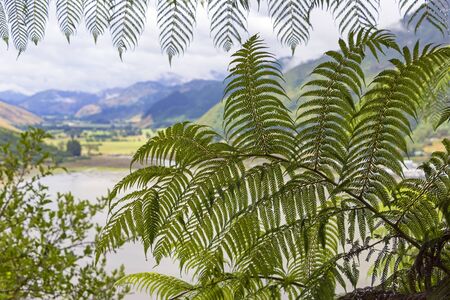 Cullen Point Lookout. View to Havelock, a coastal village in the Marlborough region of New Zealand.の写真素材