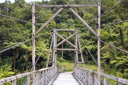 Old wooden bridge, North Island, New Zealand