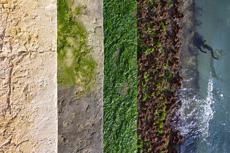 Looking at a staircase on a canal in the lagoon city Venice. Typical are these water-washed stairs.