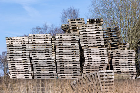 A storage place on which many europallets are stored.