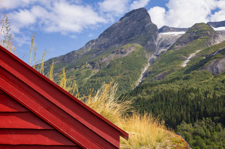 View of a beautiful mountain world in Norway. In the foreground you can see a detail of a typical...