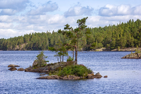 View of an idyllic lake with a small island in a Swedish forest. Summer in Scandinavia.