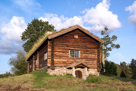 View Of A Very Old Log Cabin It Stands On A Small Hill In The Middle Of A Meadow You Can See A Traditional Nordic Architecture の写真素材 イメージマート