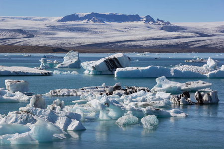 View of the famous glacier lagoon Jokulsarlon, below Vatnajokull. Icebergs floating on the open sea,...