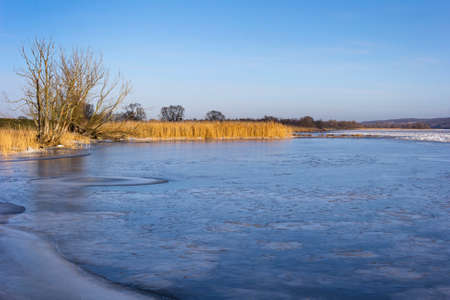 View of the flooded landscape on the river Oder, the border river between Germany and Poland.の写真素材