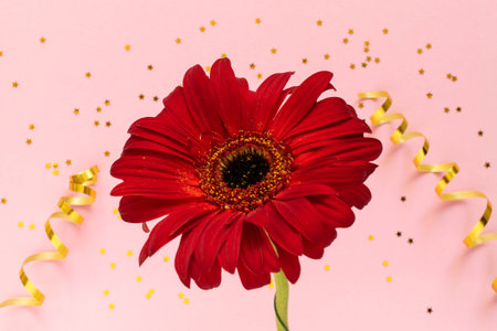 Beautiful red gerbera flower on pink background. Happy Mother's Day, Women's Day, Valentine's Day or...