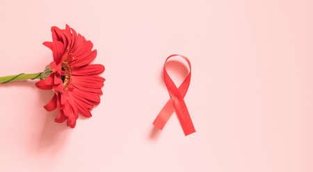 Red ribbon with a red gerbera flower on a pink background. The concept of medicine and human health care. World breast cancer awareness and prevention day. Flat lay, copy spaceの写真素材