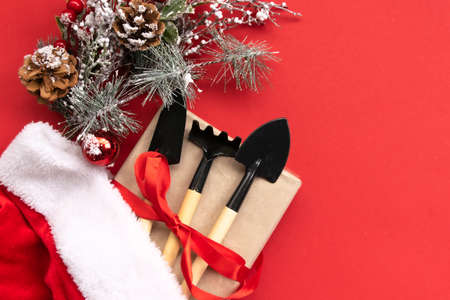 Christmas and new year composition with garden tools, shovel and rake and Santa Claus hat on a red background. The concept of gardening and farming for cards, calendars, covers. Top view, flat layの写真素材