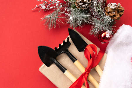 Christmas and new year composition with garden tools, shovel and rake and Santa Claus hat on a red background. The concept of gardening and farming for cards, calendars, covers. Top view, flat layの写真素材