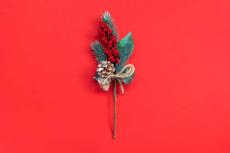 Single fir branches on red background. Christmas minimalism. Flat lay with copy space.の写真素材