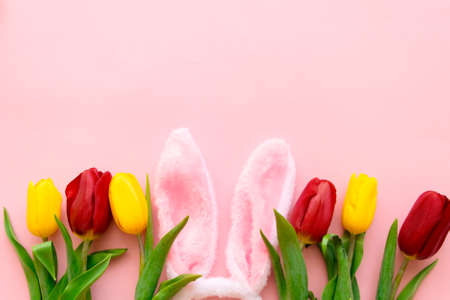 beautiful tulips, decorated Easter eggs and bunny ears on color pink background, top viewの写真素材