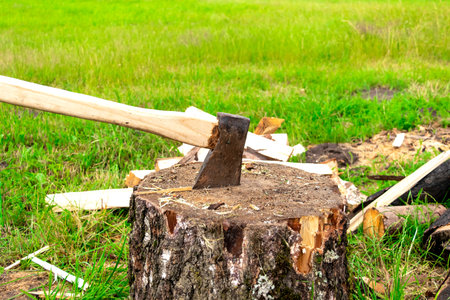 The wood chopper sticks out in wooden hemp. Ax and ax handle. Mans , male hands in white colors...