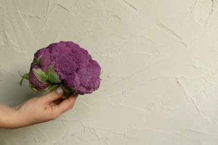 Fresh ripe purple cauliflower in woman hands. Healthy food on grey concrete background.の写真素材