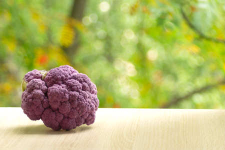 Fresh ripe purple cauliflower. Healthy food on table on defocus autumn background.の写真素材