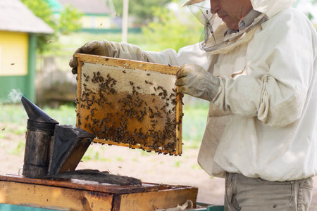 professional beekeeper in protective workwear inspecting honeycomb frame at apiary. beekeeper...
