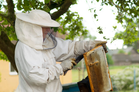 professional beekeeper in protective workwear inspecting honeycomb frame at apiary. beekeeper...