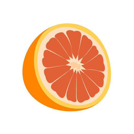 vector illustration of a grapefruit. Lines art tropical fruitのイラスト素材
