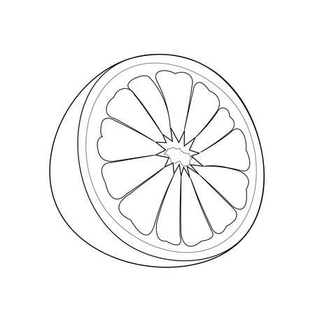 vector illustration of a grapefruit. Lines art tropical fruitのイラスト素材