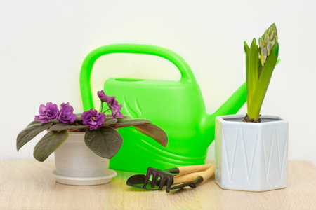 flower in pot, watering can and tools for transplanting plants on the tableの写真素材