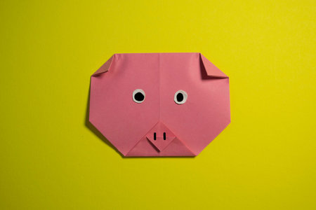 Step by step photo instruction how to make origami paper pig. Simple diy kids childrens concept.