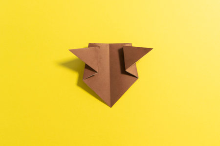 Step by step photo instruction how to make origami paper bear. Simple diy kids childrens concept.の写真素材