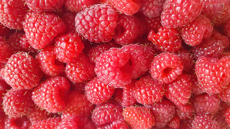 fruit banner from the harvest of ripe organic raspberries