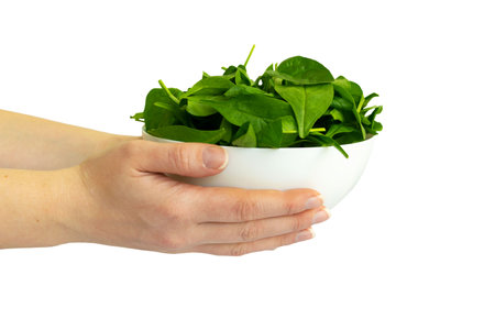 Raw fresh green healthy organic spinach in white bowl in womans hands on white background.の写真素材