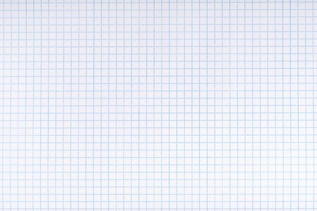 Exercise book paper page with squares, one page. Blank lined worksheet exercise book for math. Empty writing notebook paper sheet template. School and office stationery. Paper texture, closeupの写真素材