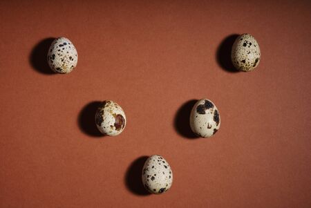 Creative quail egg layout on brown background. Quail eggs pattern. Happy easter concept. Minimal design. Copy space, flat lay, from aboveの写真素材