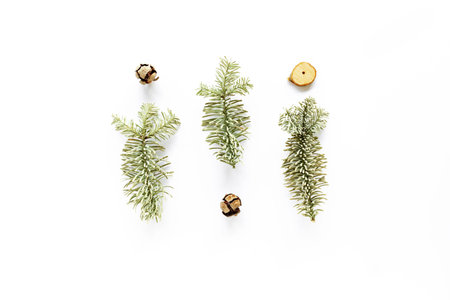 Christmas fir tree composition on white surface. Flat lay, top view. Handmade DIY concept. Winter...