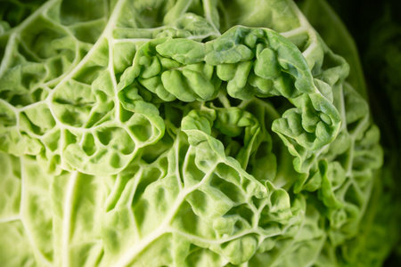 Black kale salad leaves closeup. Raw green organic lascinato kale vegetable. Italian or tuscan...