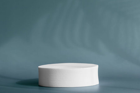Circle platform stage for cosmetic products with tropical plant shadow on wall. Round pedestal podium for packaging presentation on blue backdrop with palm leaves shadows. Minimalist styleの写真素材