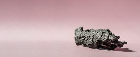 Pink background for cosmetic product presentation with shadows from sun. Backdrop with bark tree, display, mockup for product photography. Bannerの写真素材