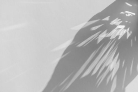 Shadow and light refraction on white wall overlay photo effect, sun rays refracting through glass...