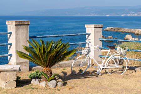 Small palm tree and old bycicle with flower decoration on calabria seaside. Sunny summer dayの写真素材