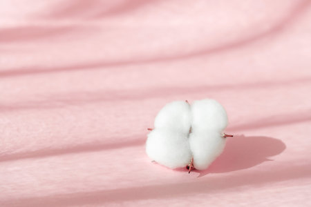 Cosmetic pink background for product presentation with cotton flower, shadows and light from windows. Mockup scene, natural organic cosmetic concept. Window shadow overlay effect.の写真素材