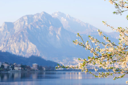 Mountain landscape, picturesque mountain lake in the summer morning, large panorama, landscape with fabulous lake view from the top of the mountain, with view of the city. Como, Italyの写真素材