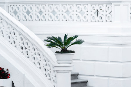 elegant white staircase adorned with a potted palm plant, featuring intricate railing designの写真素材