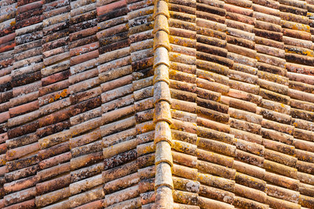 detailed view of aged weathered clay roof tiles on old building showcasing texture and patterns