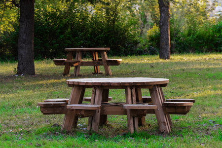 Round wooden picnic tables set in a grassy park surrounded by trees, creating a peaceful outdoor...