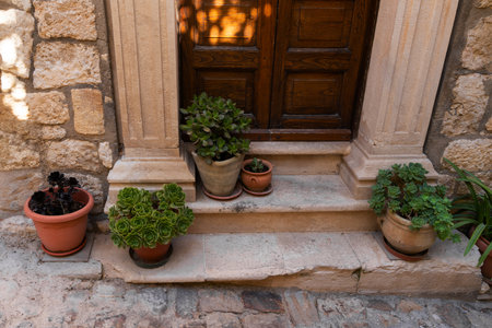 Wooden door surrounded by potted succulents on the steps of a stone building. The textures of the stone and plants add charm to this quaint entranceの写真素材