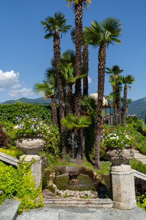 Tall palm trees stand in front of an elegant villa with cream-colored walls and shuttered windows. The sunlit staircase and lush greenery add to the peaceful and scenic atmosphereの写真素材